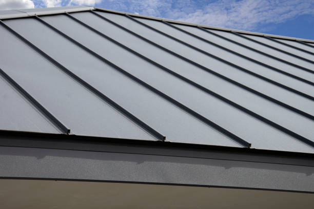 Best Roof Moss and Algae Removal  in Citrus City, TX